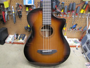 2022 Breedlove Organic Pro Collection - Solo Pro Concerto CE Acoustic Electric AEB Bass 2022 - Edgeburst