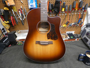 2025 Seagull Entourage CW Presys 2024 / 2025 - Autumnburst