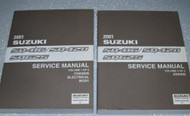 2001 SUZUKI GRAND VITARA SQ416 SQ420 SQ625 Service Repair Shop Manual Set OEM