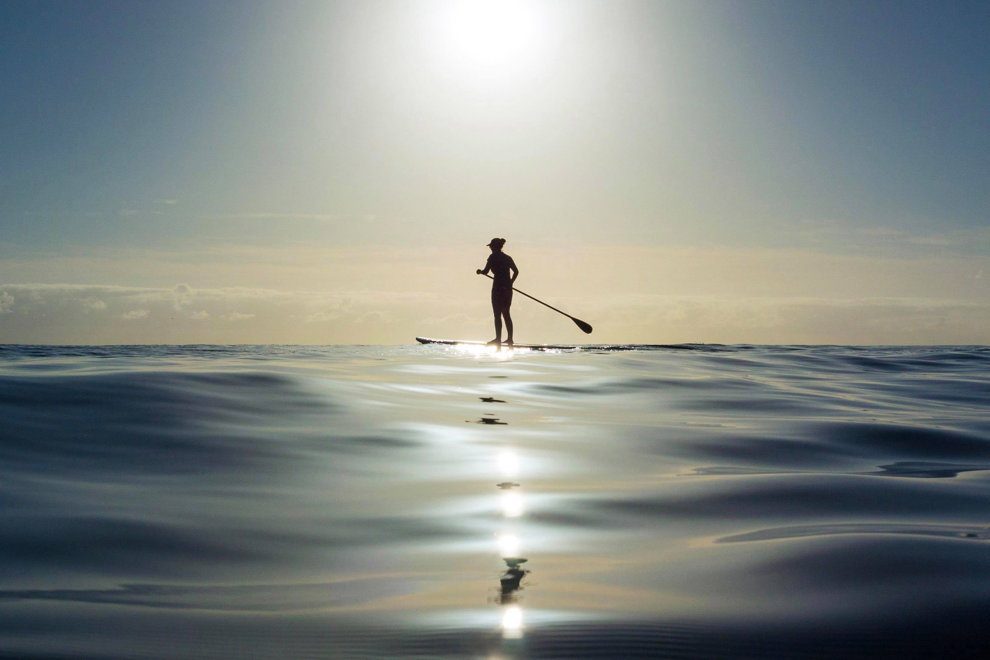 shilouette paddle boarder