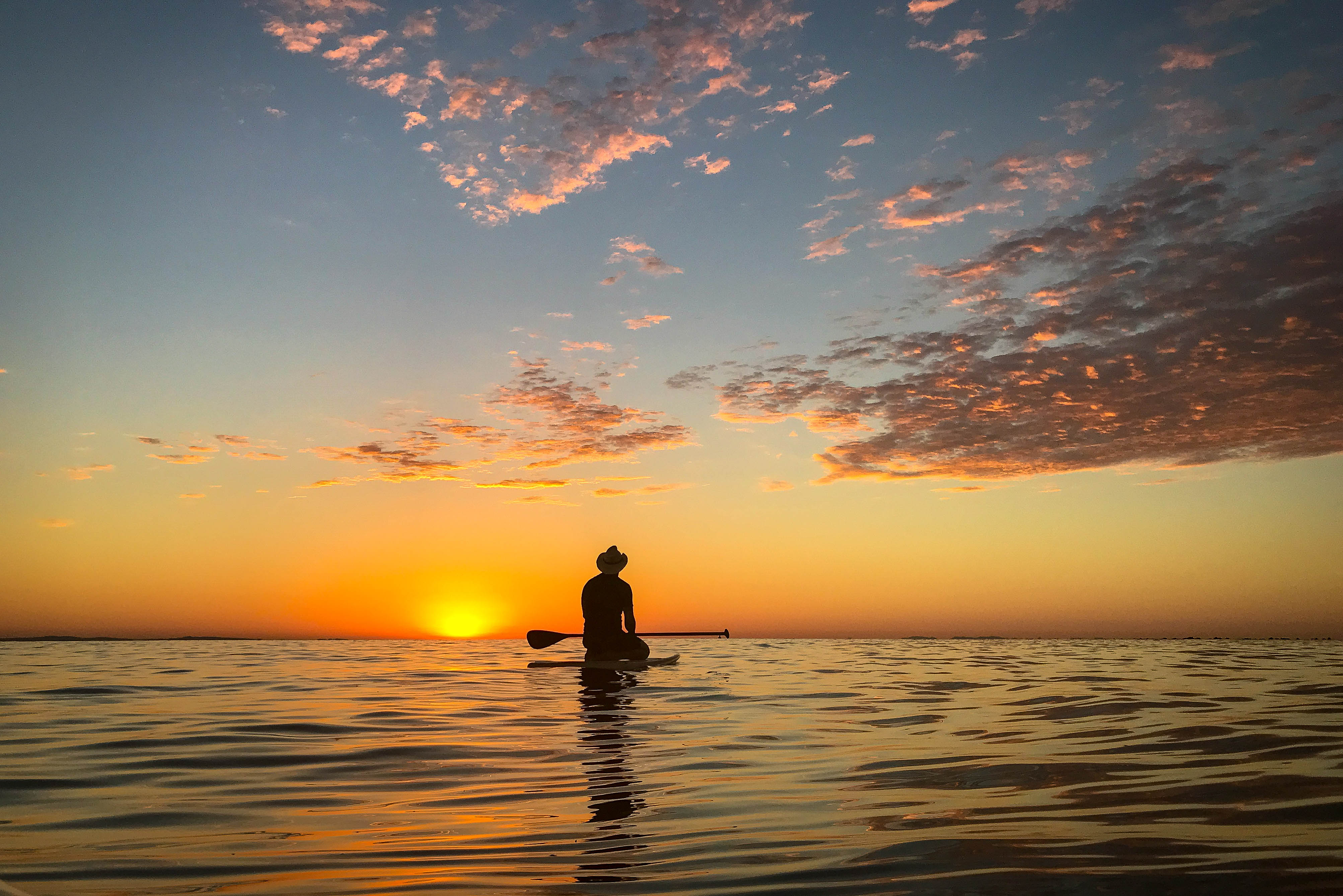 basics of stand up paddle boarding