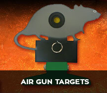 air guns targets
