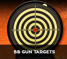bb guns targets
