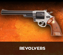 TWO TONE BB GUN REVOLVERS
