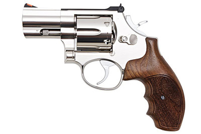 Ares S&W 686 2inch CO2 Airsoft Revolver in Silver