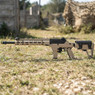 The Vorsk VMP-2MD GBB Airsoft Rifle in Tan (300FPS-Fixed Semi Auto) resting in an outdoor skirmish field The Vorsk VMP-2MD GBB Airsoft Rifle in Tan (300FPS-Fixed Semi Auto) resting in an outdoor skirmish field