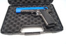 well g194 in pistols case