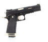 WE Custom 5.1 Hicapa T Rex Airsoft Gas Blowback Pistol in Black (WE-H001-WET-BK)