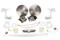1978-88 G Body, Camaro & S-10 10 Bolt Rear Disc Brake Conversion Kit