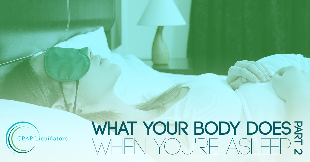 What Your Body Does When You're Asleep Part 2 CPAP Liquidators