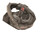 Quiet Rides Carbon Fiber Motocross Helmet