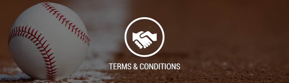 terms-and-conditions.jpg