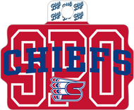 Team Captain Sticker