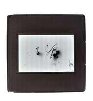 KISS Photo Slide - Gene Simmons, 1975 (Black & White) 1