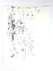 Image 2 Image 2