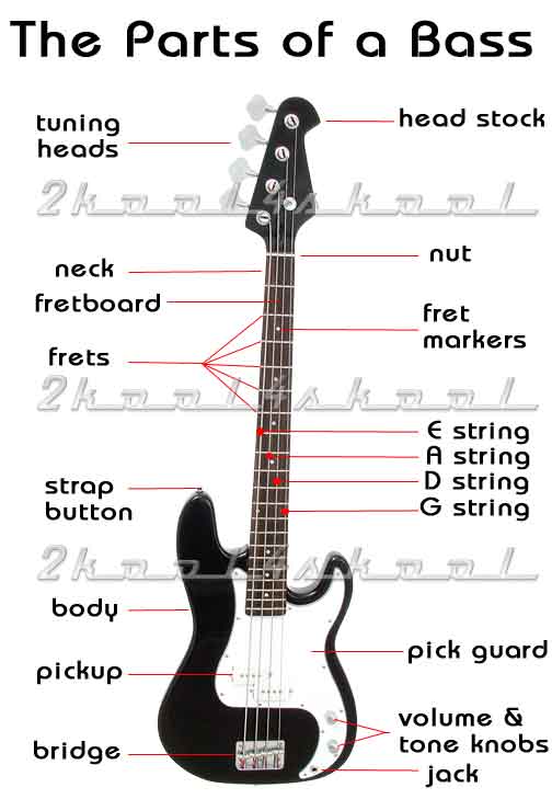 Bass Guitar Diagram / Electric Bass Parts Know Them Learn Electric Bass