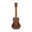 ISLANDER AC-4 Concert Ukulele with Acacia Top and Walnut Fingerboard - view 4