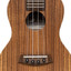 ISLANDER AC-4 Concert Ukulele with Acacia Top and Walnut Fingerboard - view 5