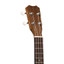 ISLANDER AC-4 Concert Ukulele with Acacia Top and Walnut Fingerboard - view 6