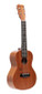 ISLANDER Traditional concert ukulele with mahogany top with Hawaiian islands engraving