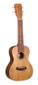 ISLANDER Traditional concert ukulele with mango wood top