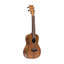 ISLANDER Solid Acacia Concert Ukulele with Herringbone Inlay and Walnut Bridge - view 3