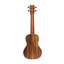 ISLANDER Solid Acacia Concert Ukulele with Herringbone Inlay and Walnut Bridge - view 4