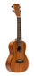 ISLANDER Traditional concert ukulele with solid mahogany top