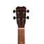 ISLANDER Traditional Concert Ukulele With Spalted Maple Top - view 5