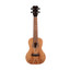 ISLANDER Traditional Concert Ukulele With Spalted Maple Top - view 6