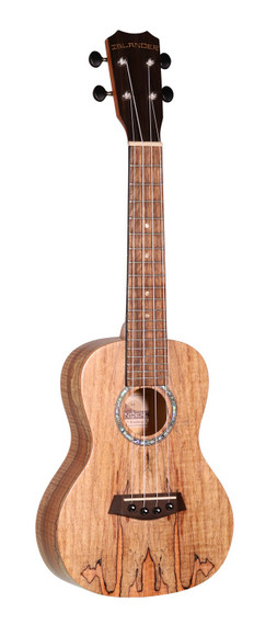 ISLANDER Traditional concert ukulele with spalted maple top