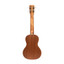 ISLANDER SMC-4 Concert Ukulele with Spruce Top and Abalone Rosette - view 4