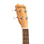 ISLANDER SMC-4 Concert Ukulele with Spruce Top and Abalone Rosette - view 6