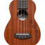 ISLANDER Traditional Soprano Ukulele With Mahogany Top And Honu Turtle Engraving - view 5