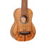ISLANDER Traditional Soprano Ukulele With Spalted Maple Top - view 4