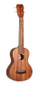 ISLANDER Traditional Super concert ukulele with acacia top