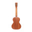 ISLANDER Traditional Tenor Ukulele With Mahogany Top And Hawaiian Islands Engraving - view 4