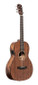 J.N GUITARS Acoustic-electric parlor guitar with solid mahogany top, Dovern series