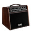 LANEY A1 versatile, compact and powerful amplifier for acoustic guitar