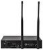 NADY Nady W-1KU GT True Diversity 1000-channel Professional Guitar/instrument Microphone Wireless System - view 10