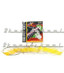10 SETS of Electric Guitar strings LIGHT 9 nickel extra