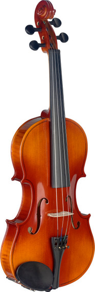 STAGG 4/4 Maple Violin with standard-shaped soft-case