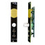 Music Thing Modular Mikrophonie Contact Mic Module