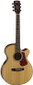 Cort Acoustic-Electric Guitar Luce L100F-NS CE Folk Body Sld Spr Tp Mah B&S Fish Isys+