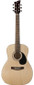 Jay Turser USA Guitar 3/4 Size Acoustic Natural