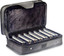 Blues harp (diatonic harmonicas) set with case