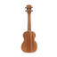 STAGG Acoustic-electric Concert Ukulele With Sapele Top And Gigbag - view 3