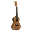 ISLANDER Electric-acoustic Traditional Concert Ukulele With Flamed Acacia Top - view 3