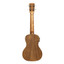 ISLANDER Electric-acoustic Traditional Concert Ukulele With Flamed Acacia Top - view 4