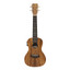 ISLANDER Electric-acoustic Traditional Concert Ukulele With Flamed Acacia Top - view 6